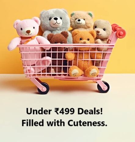 ₹499 DEALS !